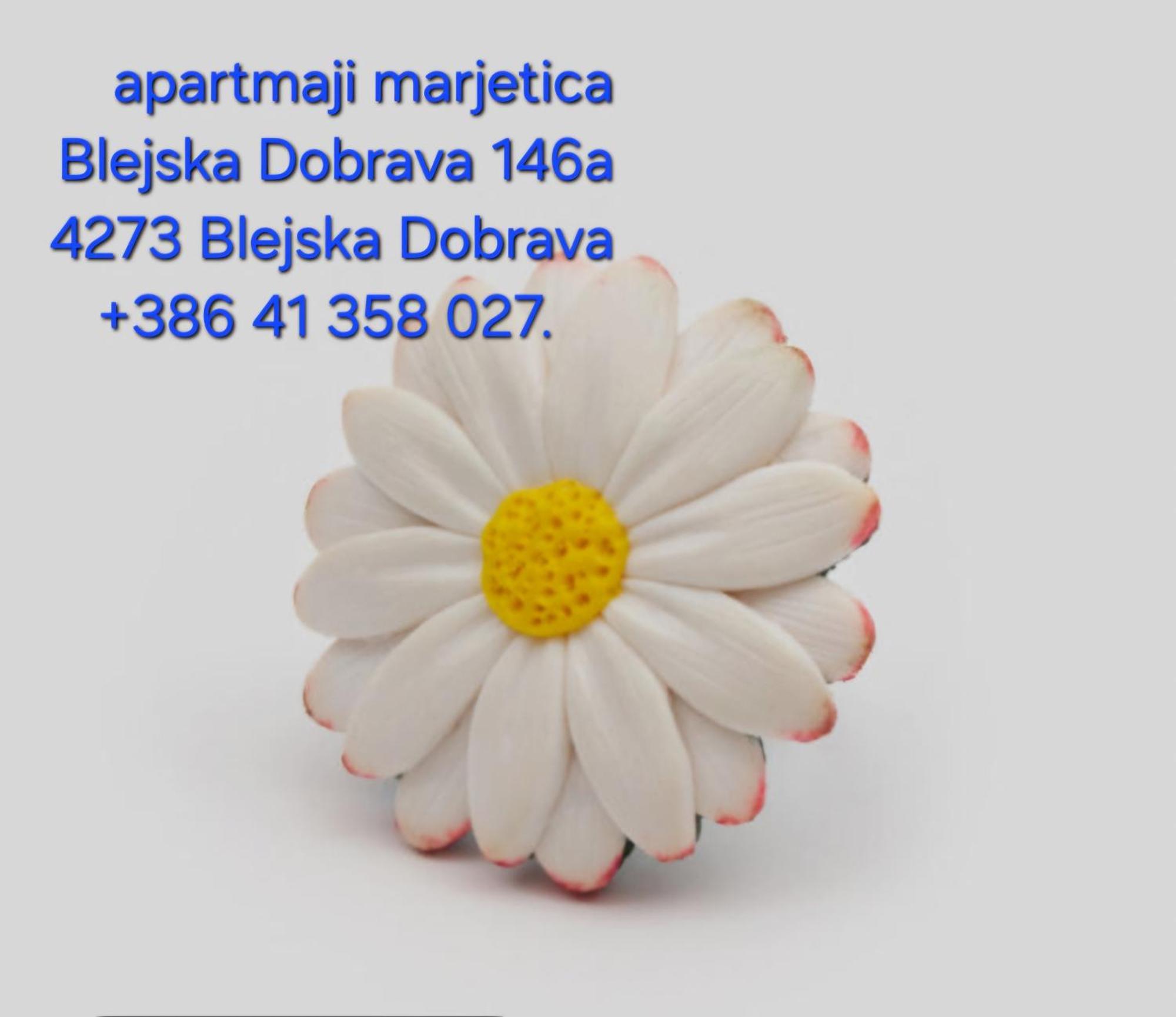 Apartma Marjetica Blejska Dobrava Extérieur photo